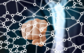 开云app注册-中国足球青训梯队人员年龄层结构，足球青训年龄段